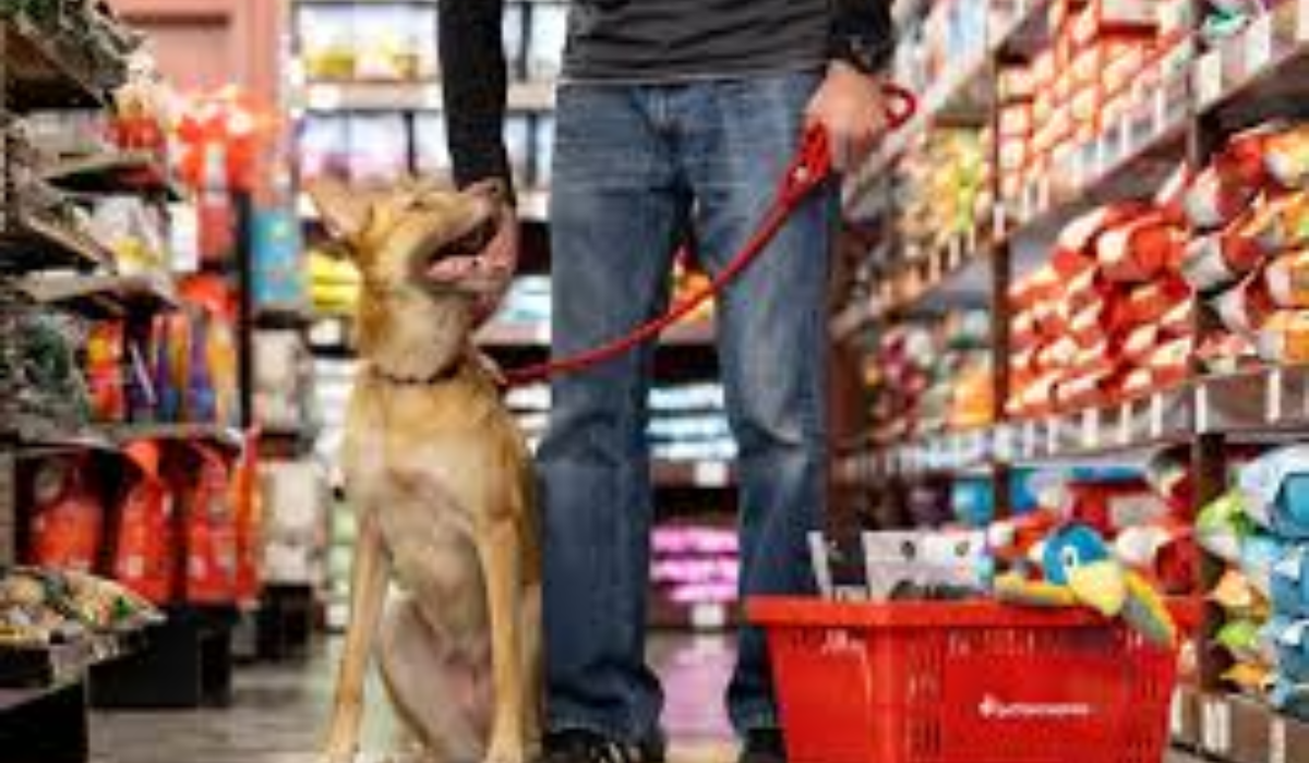 Pet Food Express: The One-Stop Destination for Your Pet’s Needs