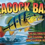 Peacock Bass: The Ultimate Guide for Fishing, Species, and Florida Hotspots